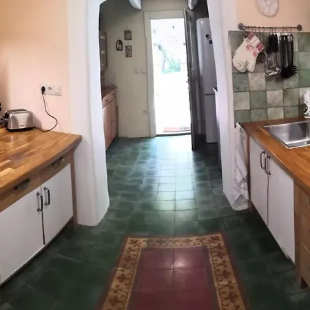 žofia *